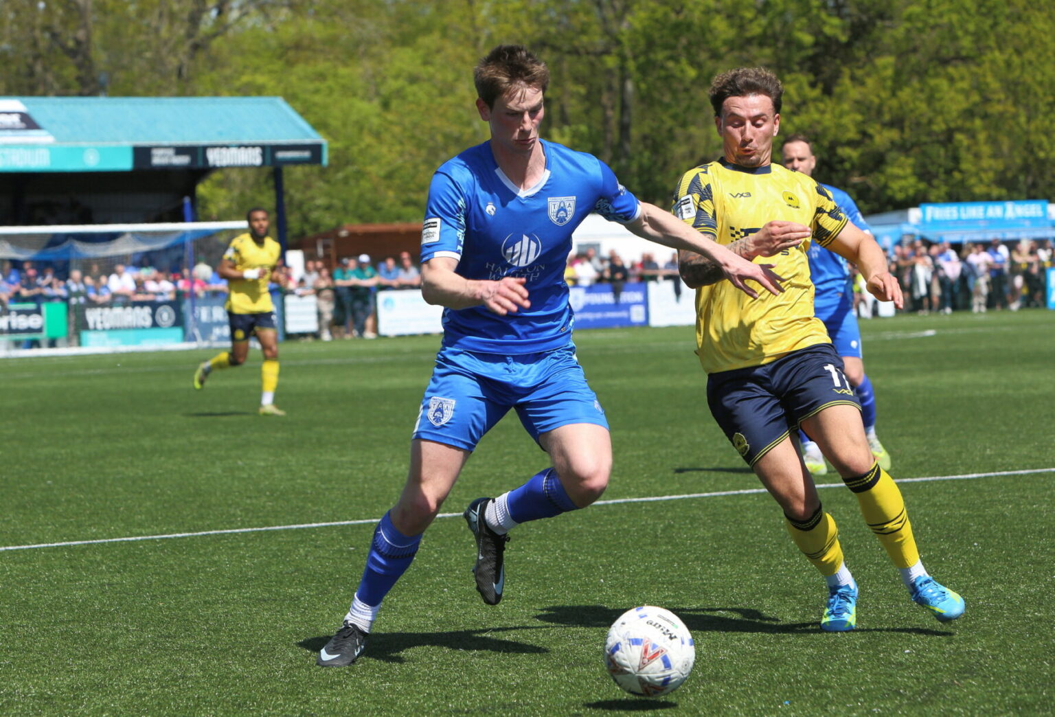 Gulls Spoil Angels’ Lunch on ‘Special’ Last Day